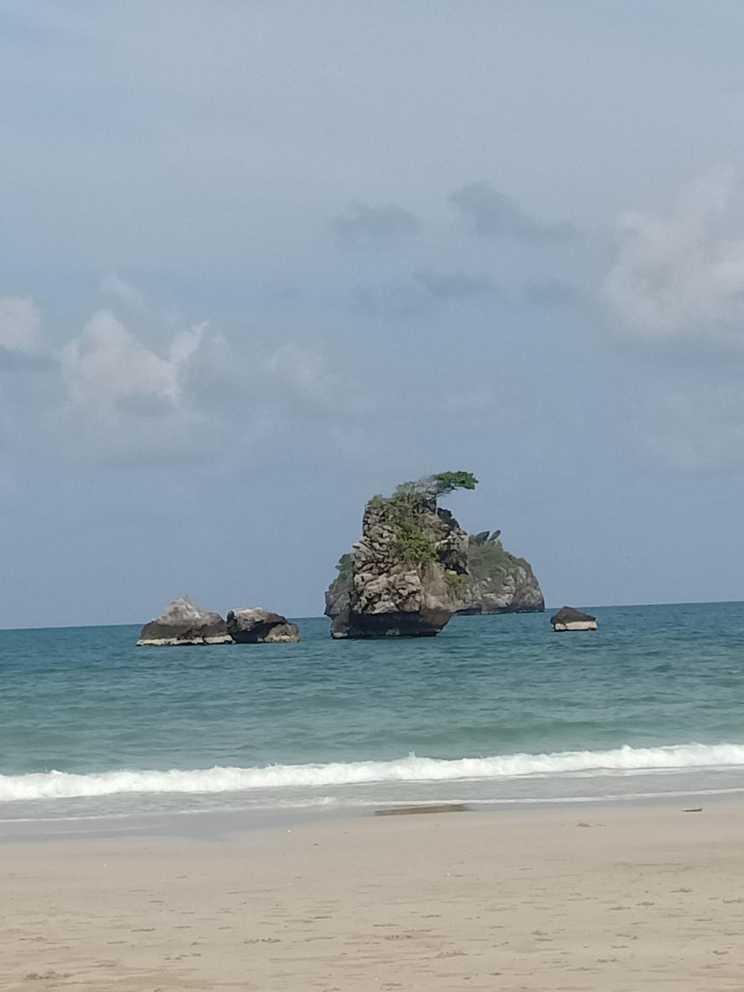 Win Gray Homestay Resort 跋麒 客房 照片